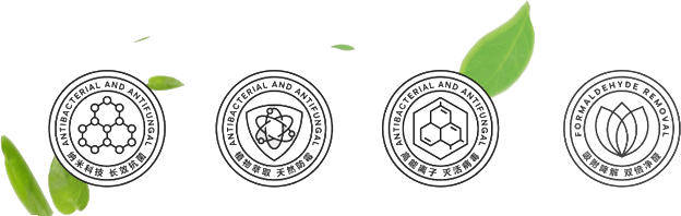 anxin05ico