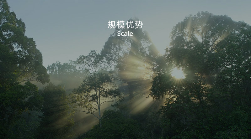 板材出产厂家