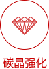 tjbico1